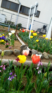 f0179947_23194087.jpg