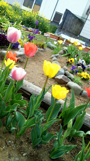 f0179947_23195035.jpg