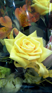 f0179947_233583.jpg