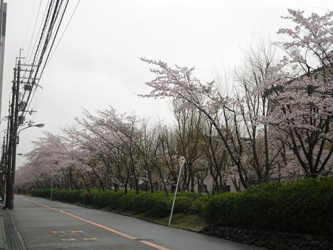 a0150848_635189.jpg