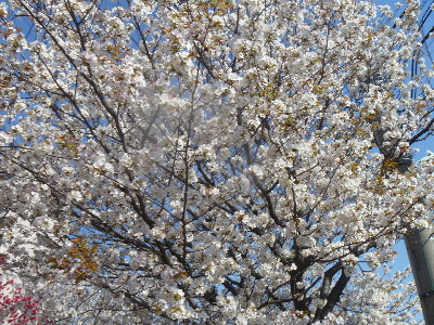 e0121548_2047757.jpg