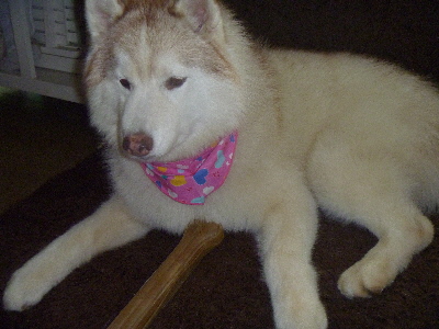 e0121548_2151750.jpg