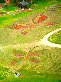 c0171349_915445.jpg