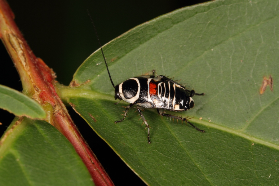 a0094850_12484887.jpg