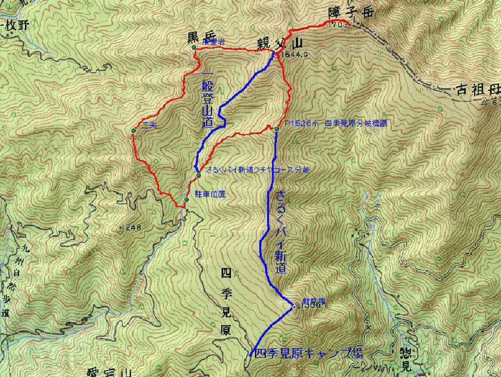 c0179351_1145676.jpg