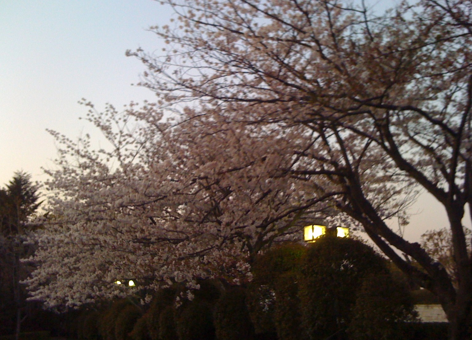 b0005652_2053677.jpg