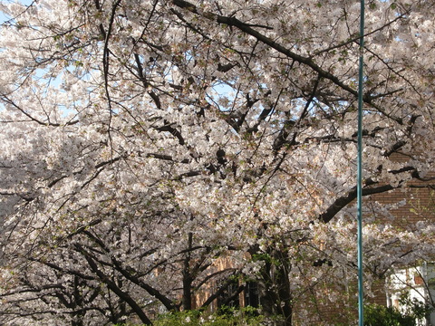 c0206352_16341790.jpg
