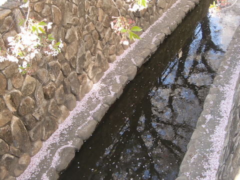 c0206352_17212252.jpg