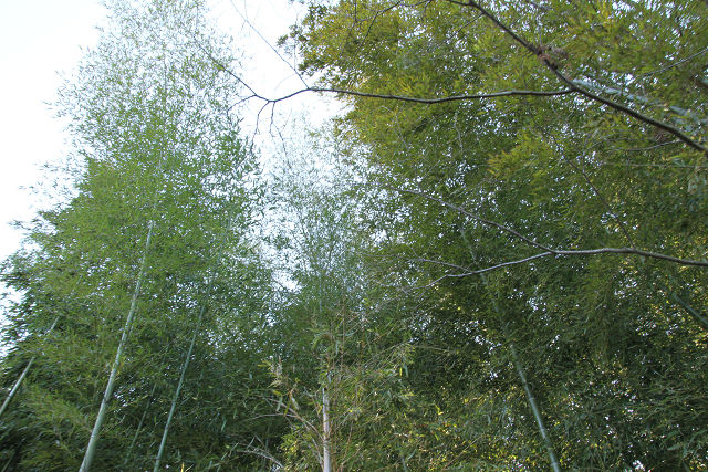 f0108553_19103562.jpg