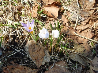 e0004756_21204637.jpg