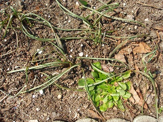 e0004756_21215559.jpg
