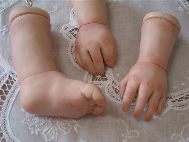 b0162357_1428479.jpg