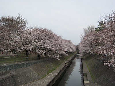 e0129958_10534714.jpg