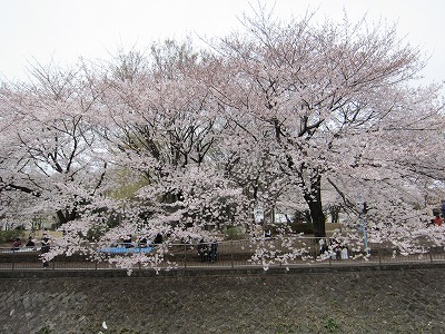 e0129958_10535447.jpg