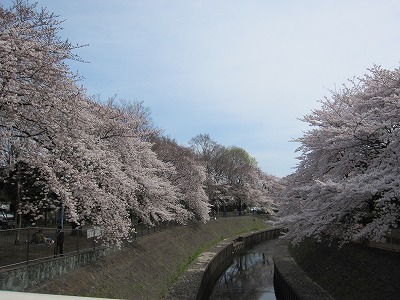 e0129958_1112155.jpg