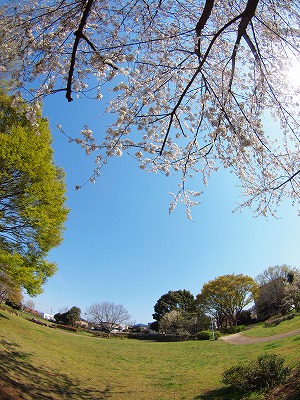 b0180764_23411634.jpg