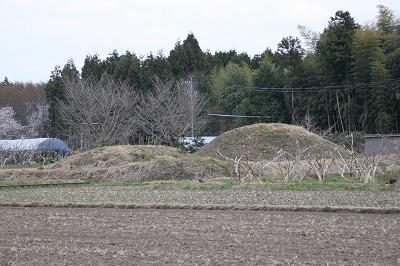 f0106664_6551447.jpg