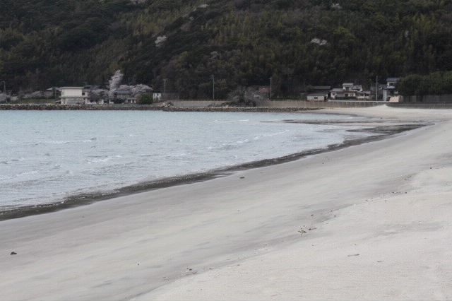 e0150867_11669.jpg