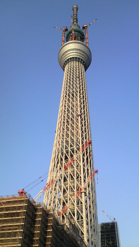 f0065167_23166.jpg