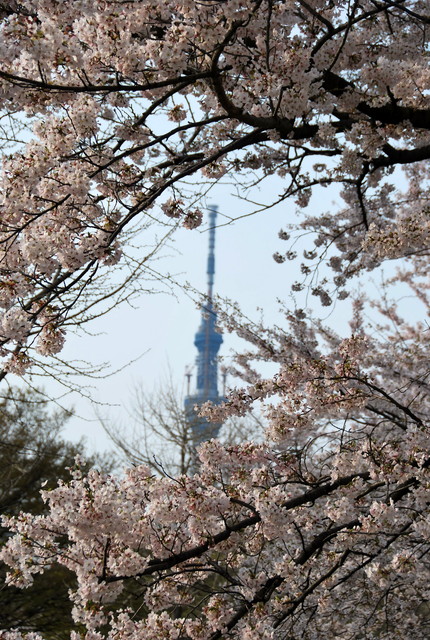 b0174068_23204272.jpg