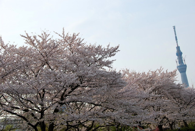 b0174068_23205385.jpg