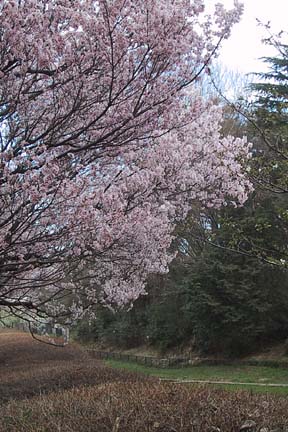 a0121671_2146561.jpg