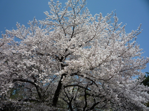 b0209471_2144837.jpg