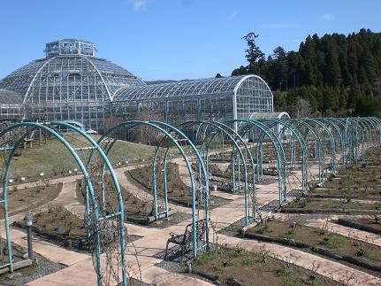 c0222471_2249121.jpg