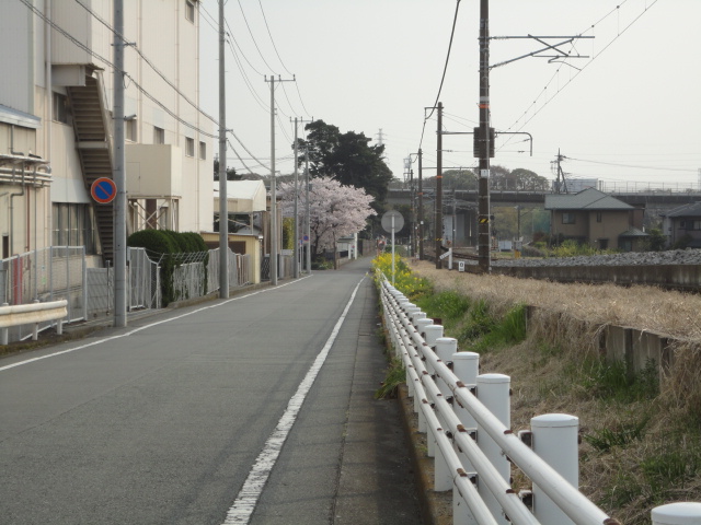 d0109373_0204917.jpg