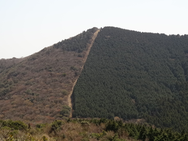 d0226273_0232070.jpg