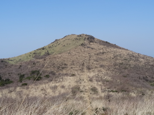 d0226273_024691.jpg