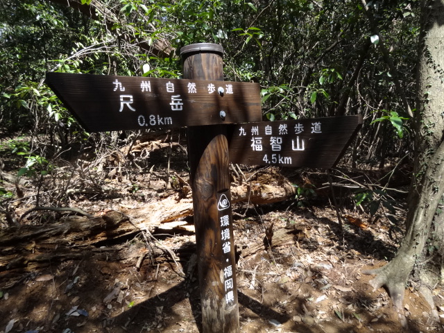 d0226273_0381528.jpg