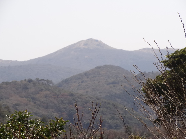 d0226273_052299.jpg