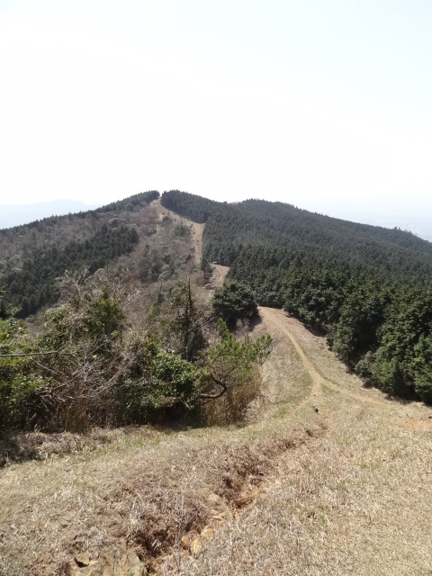 d0226273_061423.jpg