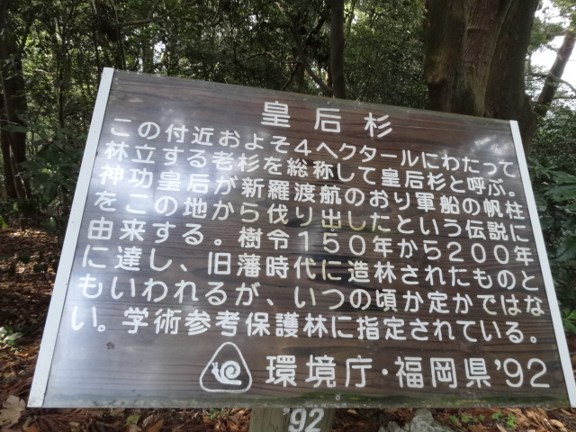 d0226273_112218.jpg