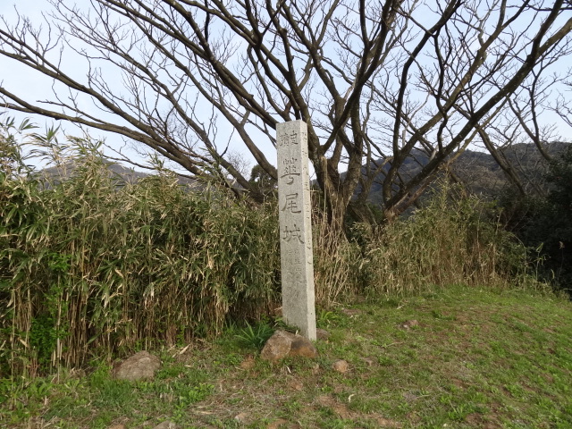 d0226273_120373.jpg