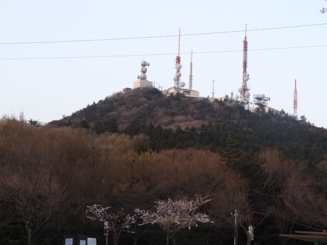d0226273_1284150.jpg