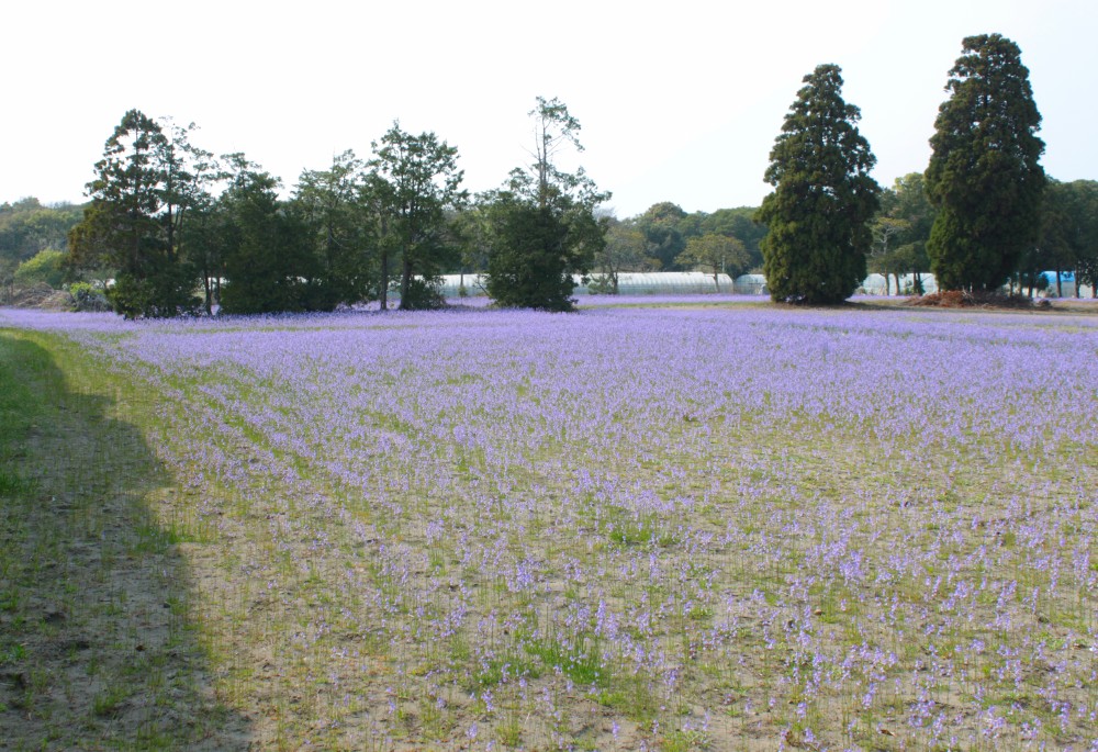 f0165677_21221330.jpg