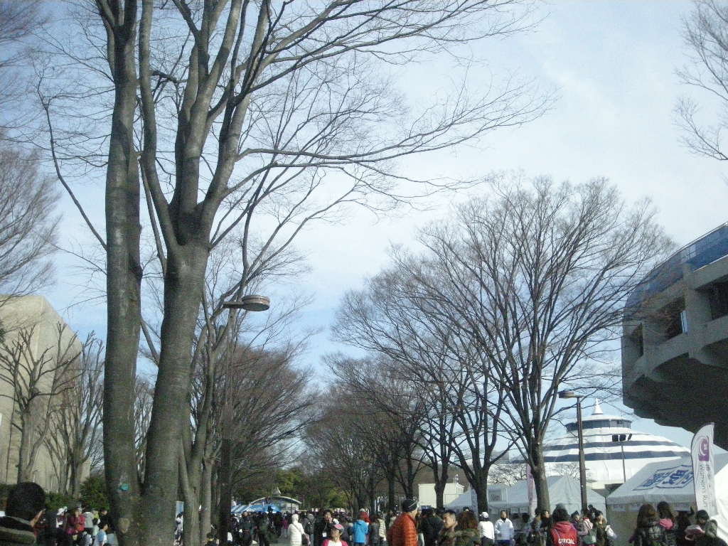 a0105981_13523570.jpg