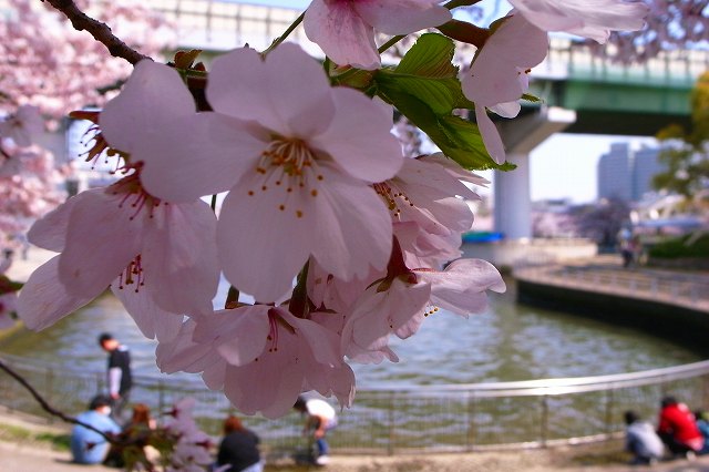 c0160387_23304645.jpg