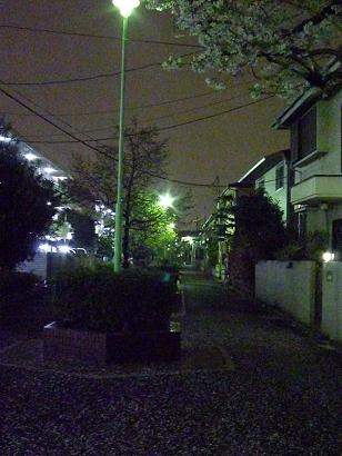 c0123890_158563.jpg