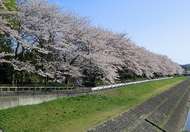 e0023790_2151757.jpg
