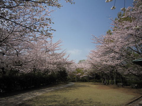b0104592_9111931.jpg