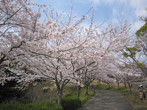 b0104592_91356.jpg