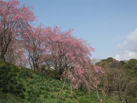 b0104592_914038.jpg