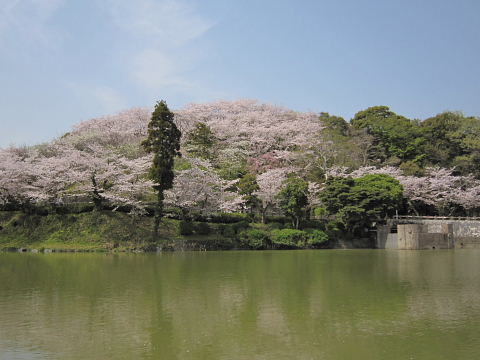 b0104592_915725.jpg