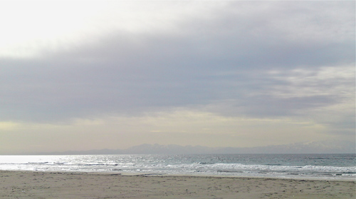 c0095492_18207.jpg