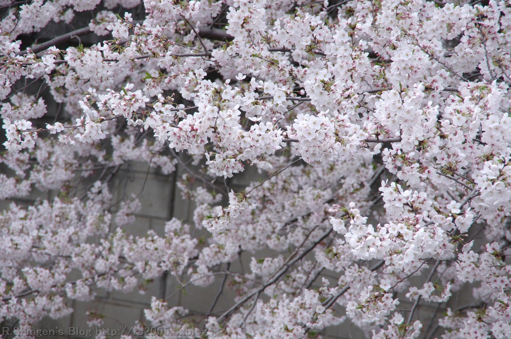 c0025498_0222159.jpg