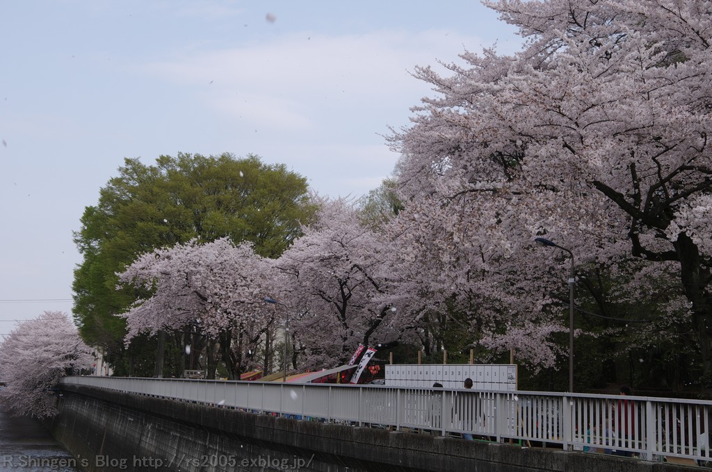 c0025498_0242593.jpg
