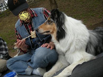 f0081100_12474577.jpg